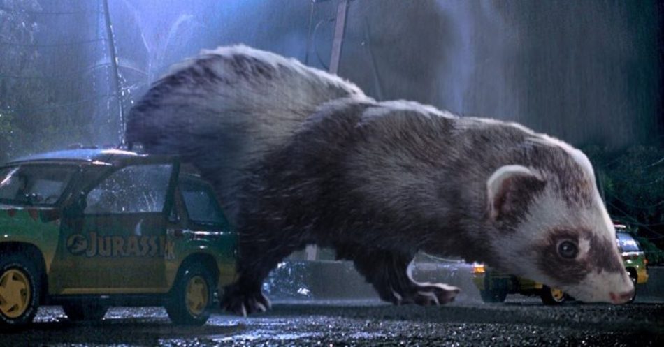 This Artist Edited Giant Ferrets In “Jurassic Park” Movies – Artofit